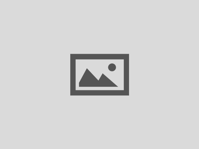 ¿Qué puedes encontrar en nuestro Marketplace?