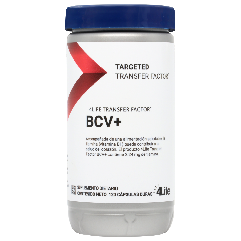 Cardio BCV